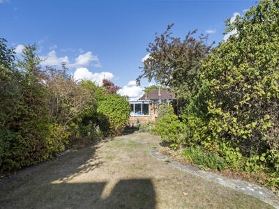 Picture 10
